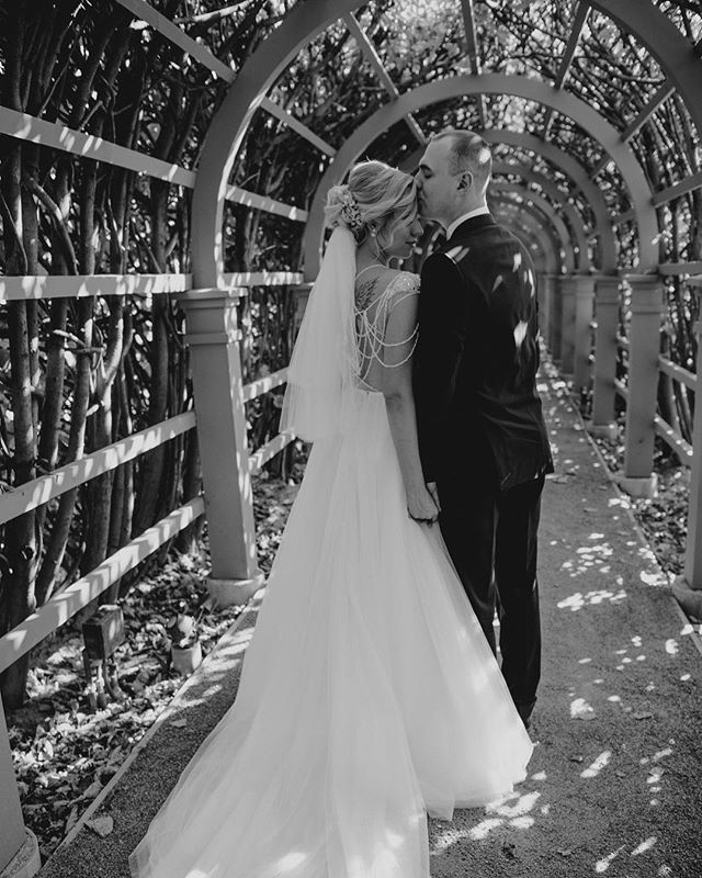 Невеста Сорокина Анна фото