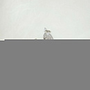 Свадебные серьги для невесты фото