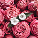 Объёмные серьги фото