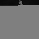 Свадебное платье с пышной короткой юбкой из роз фото